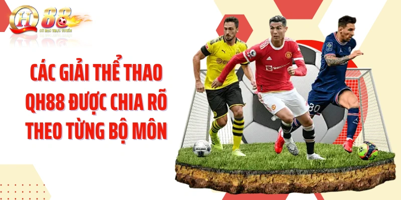 Các giải thể thao QH88 được chia rõ theo từng bộ môn