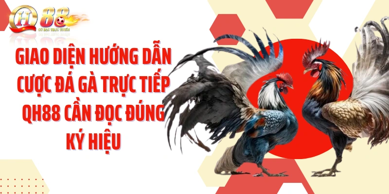 Giao diện hướng dẫn cược đá gà trực tiếp QH88 cần đọc đúng ký hiệu
