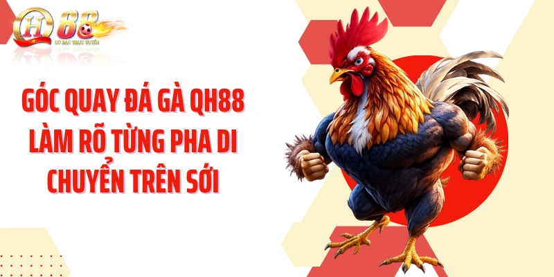 Góc quay đá gà QH88 làm rõ từng pha di chuyển trên sới