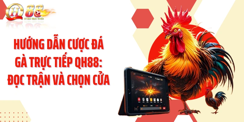 Hướng Dẫn Cược Đá Gà Trực Tiếp QH88: Đọc Trận Và Chọn Cửa
