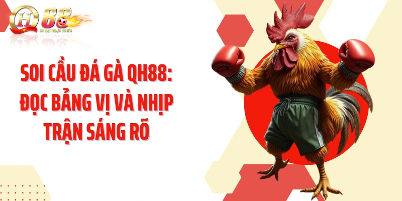 Soi Cầu Đá Gà QH88: Đọc Bảng Vị Và Nhịp Trận Sáng Rõ