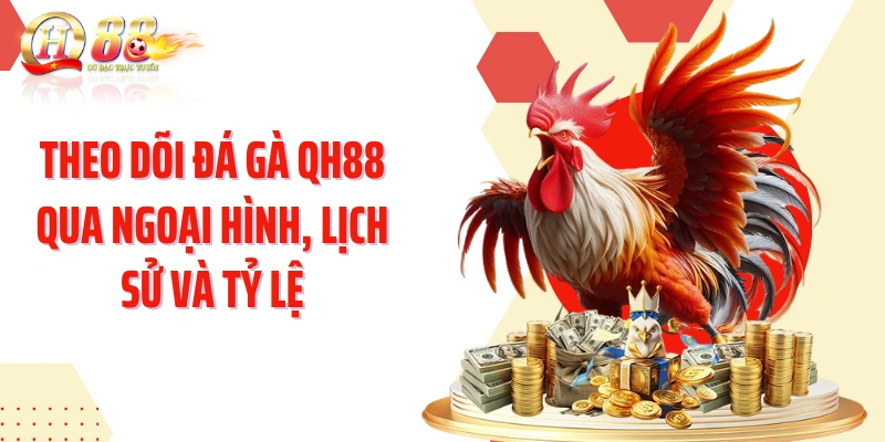Theo dõi đá gà QH88 qua ngoại hình, lịch sử và tỷ lệ