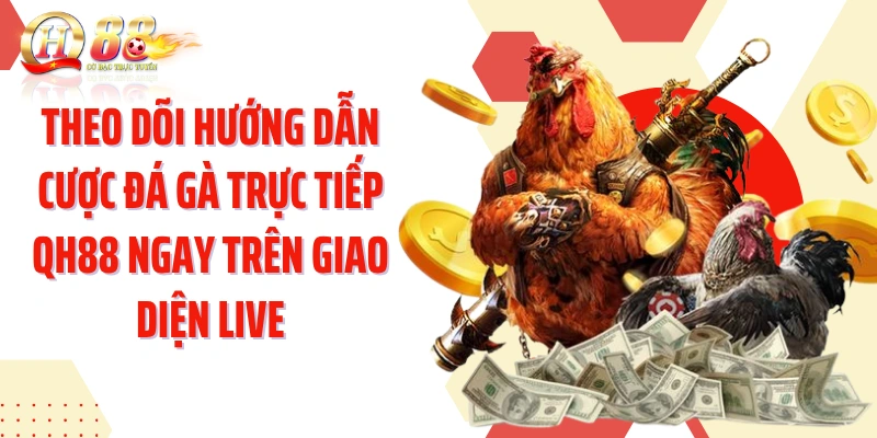 Theo dõi hướng dẫn cược đá gà trực tiếp QH88 ngay trên giao diện live