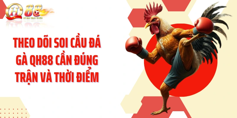 Theo dõi soi cầu đá gà QH88 cần đúng trận và thời điểm