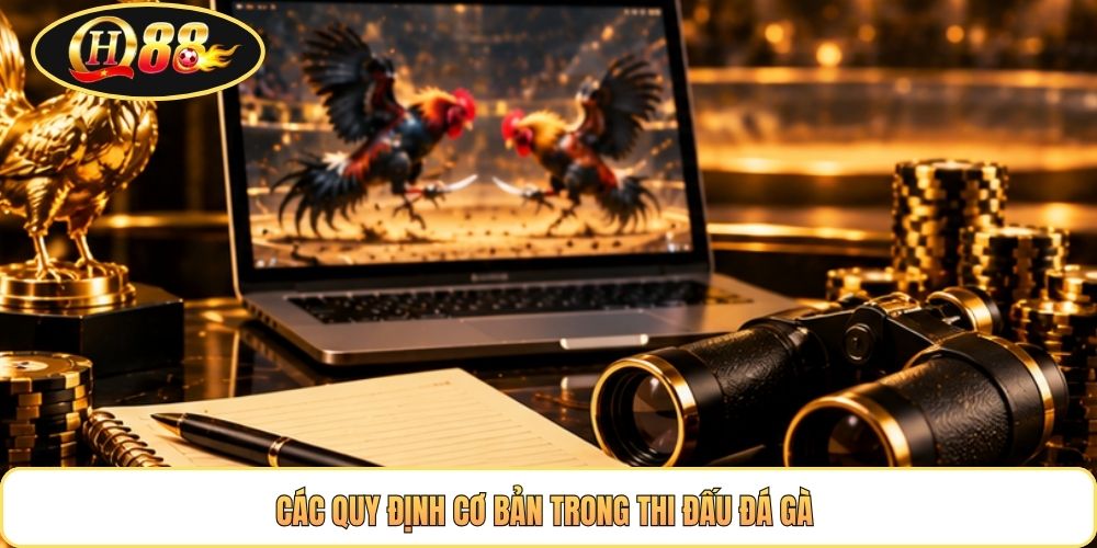 Các quy định cơ bản trong thi đấu đá gà 