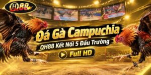 Đá Gà Campuchia | QH88 Kết Nối 5 Đấu Trường Full HD